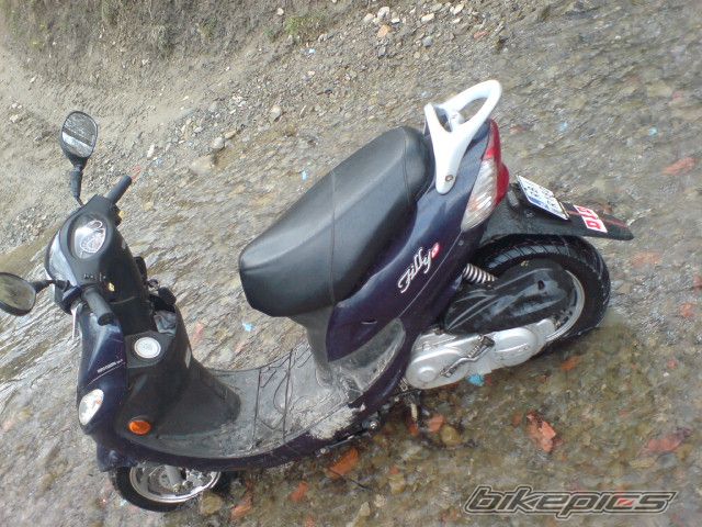 Photo 1631649