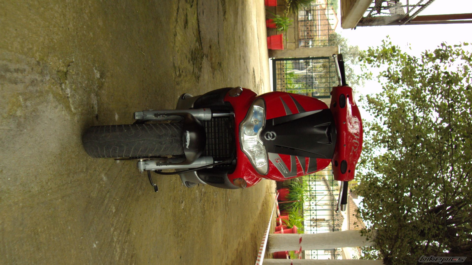 Photo 1631682