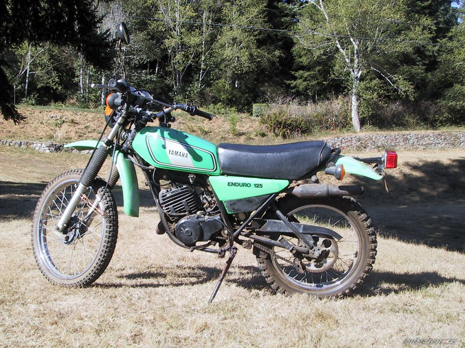 Photo 163173