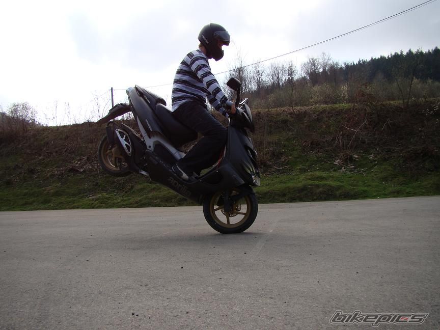 Photo 1631743