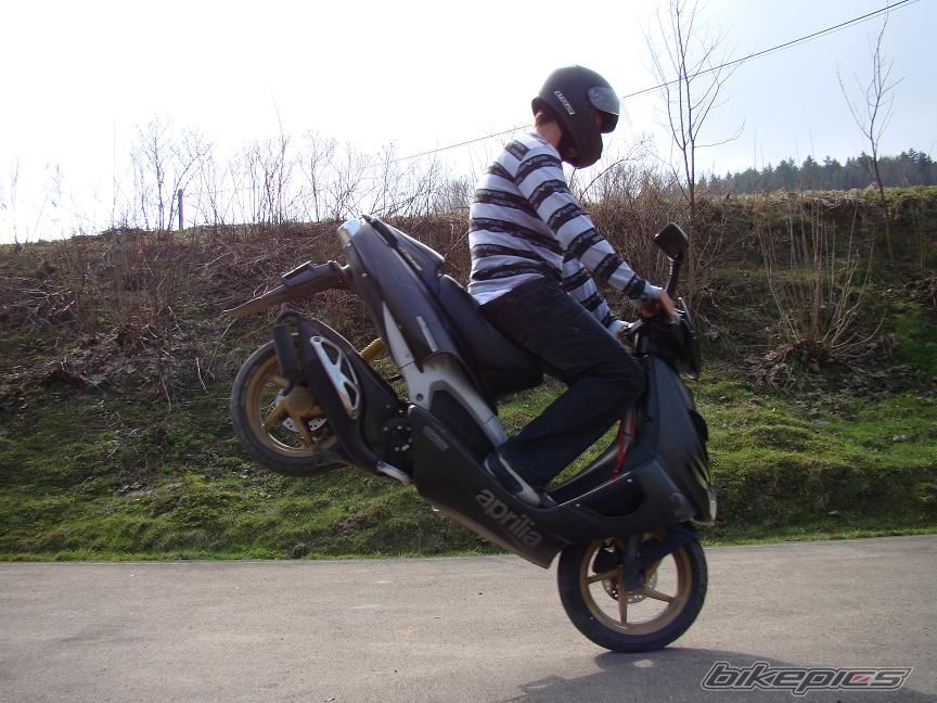Photo 1631748