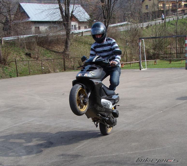 Photo 1631751