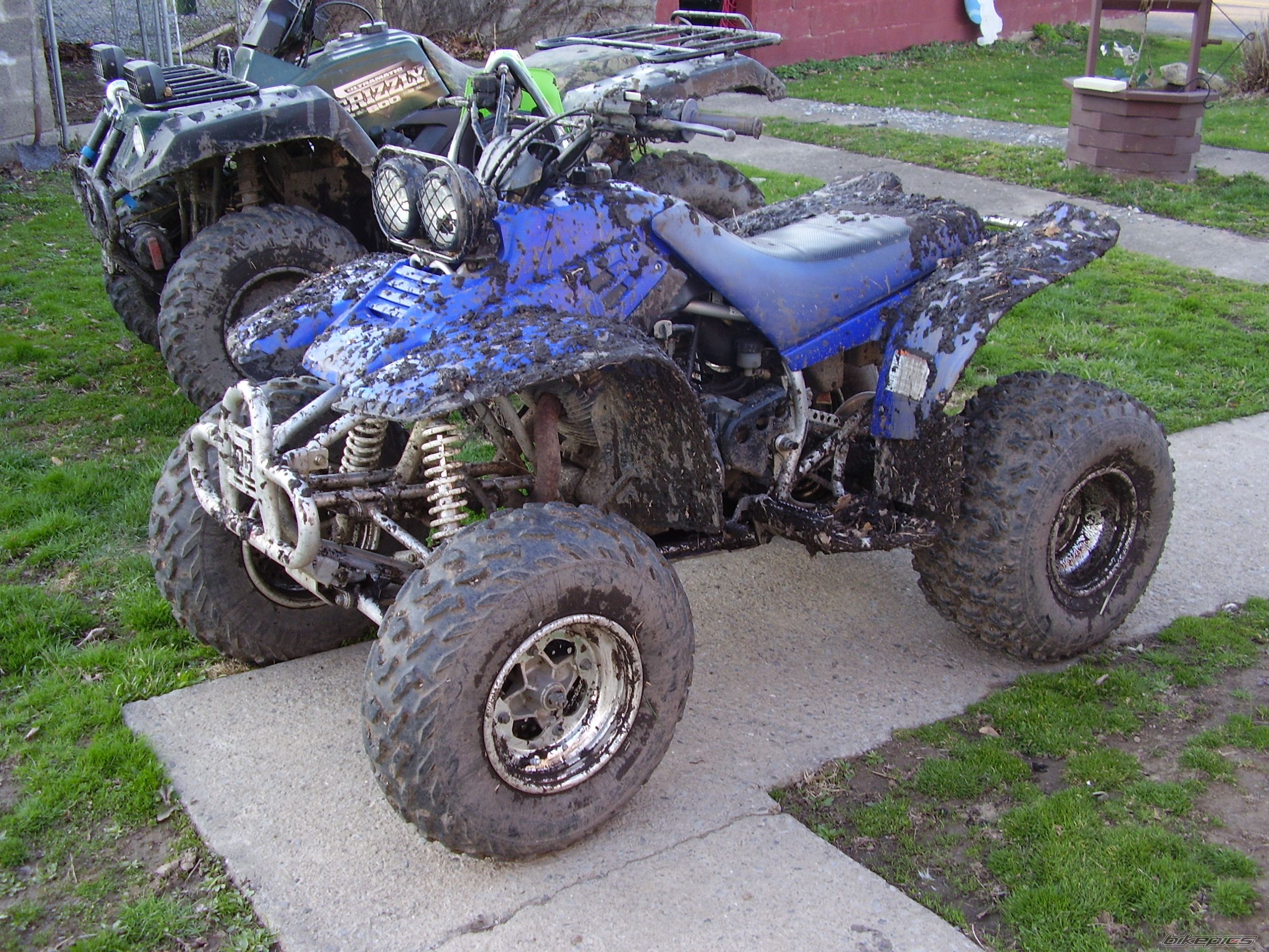 Photo 1632004