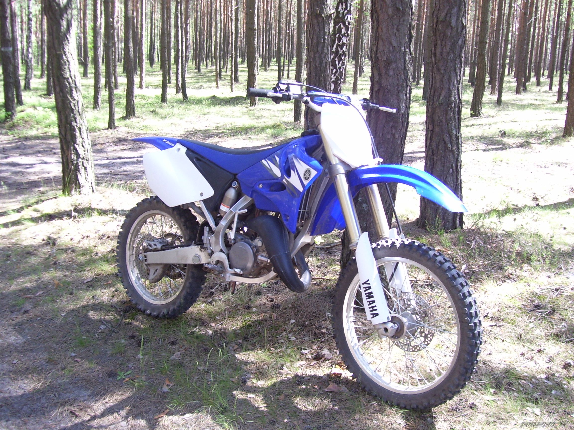 Photo 1632077