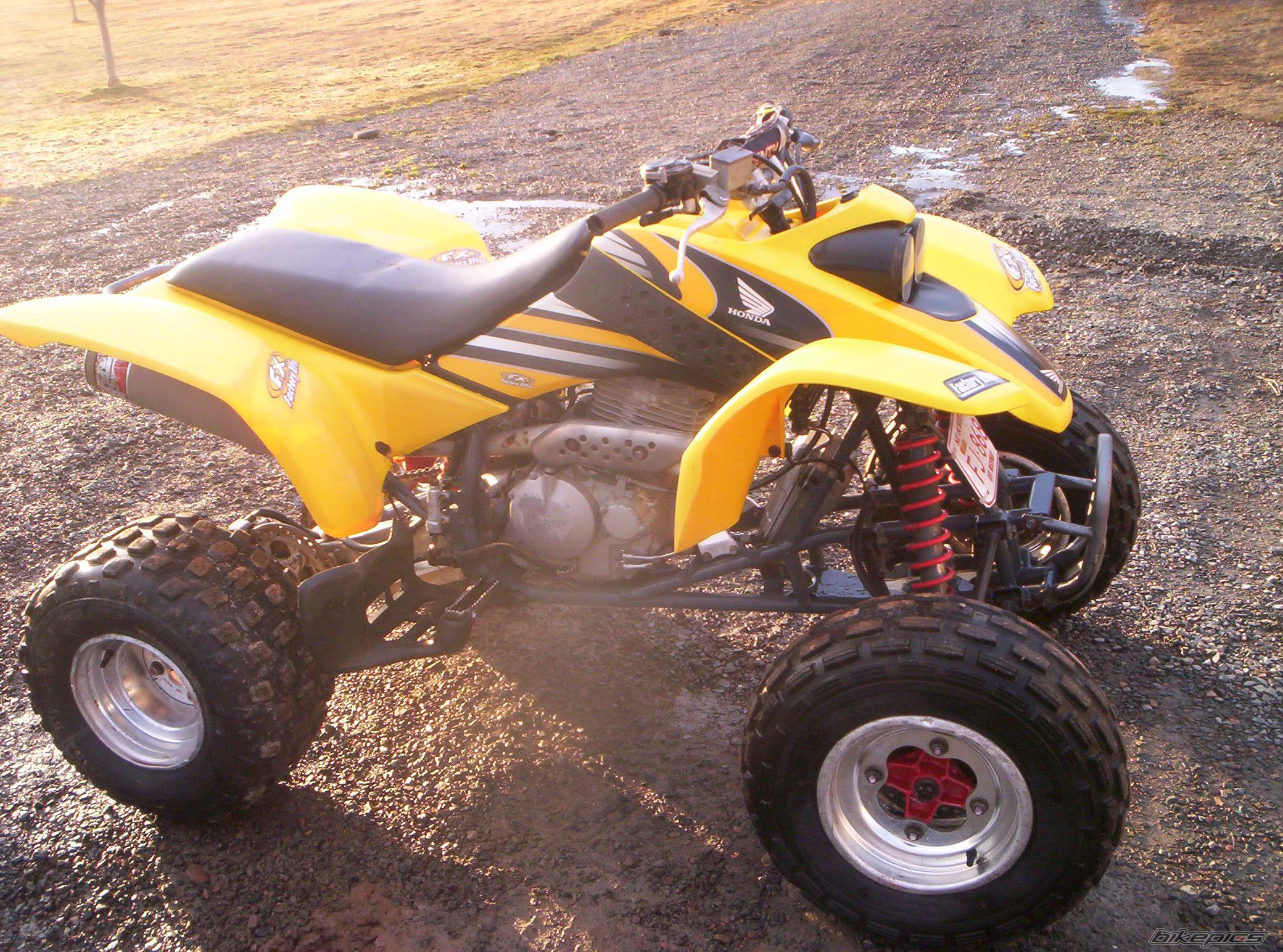 Photo 1632186