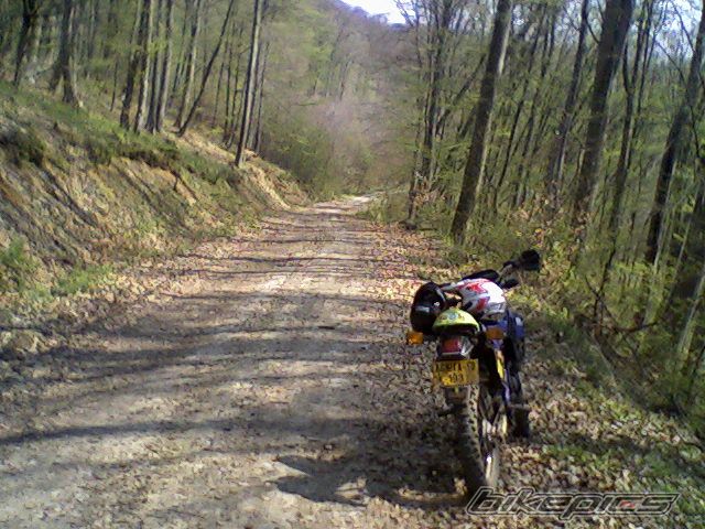Photo 1632206