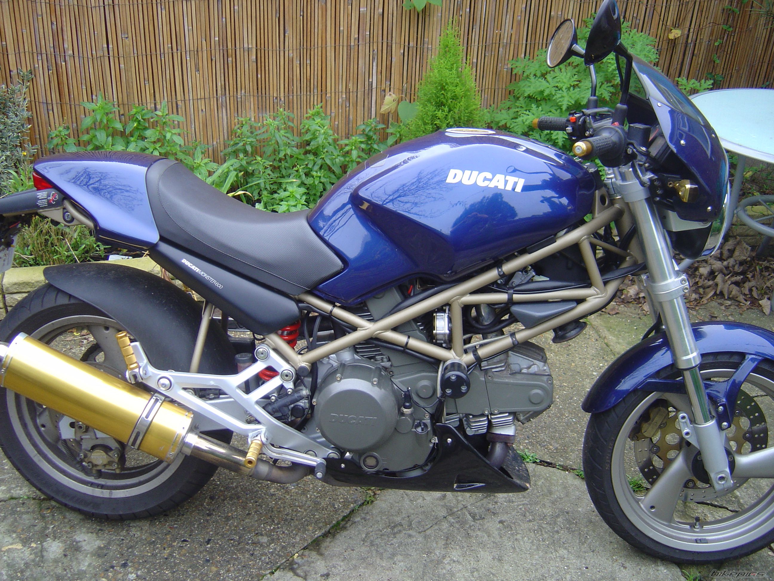 Photo 1632249
