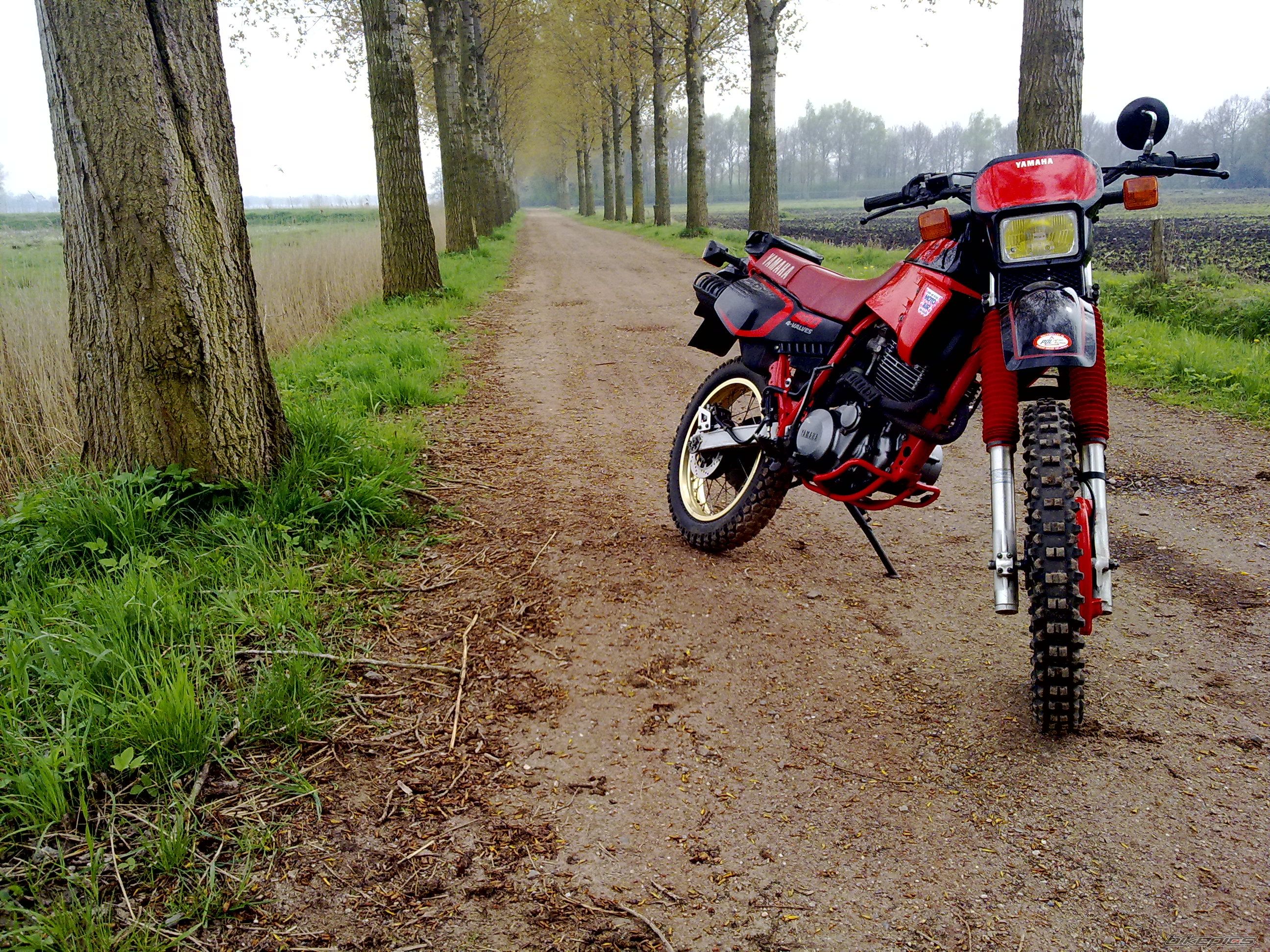 Photo 1632434