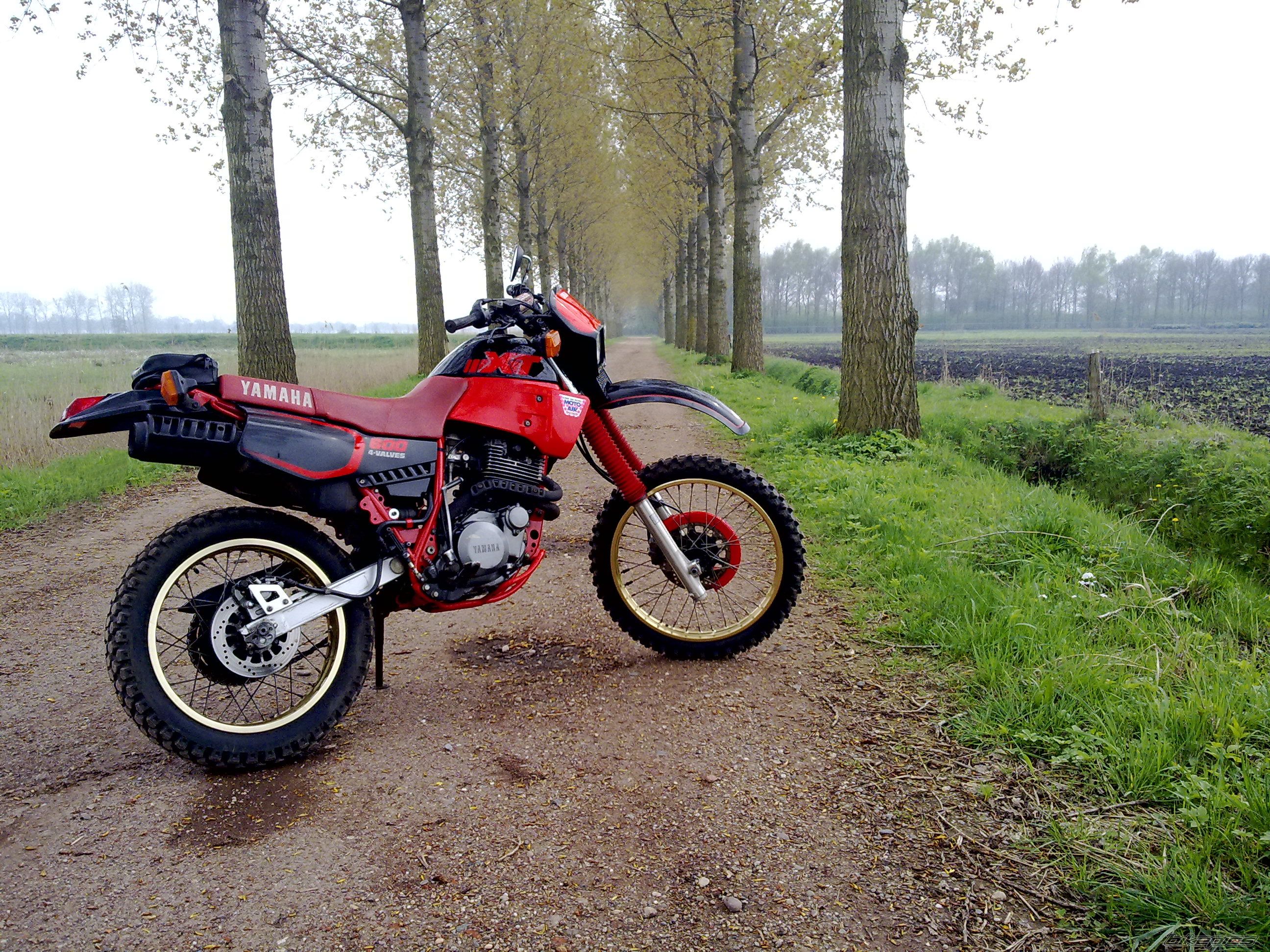 Photo 1632507