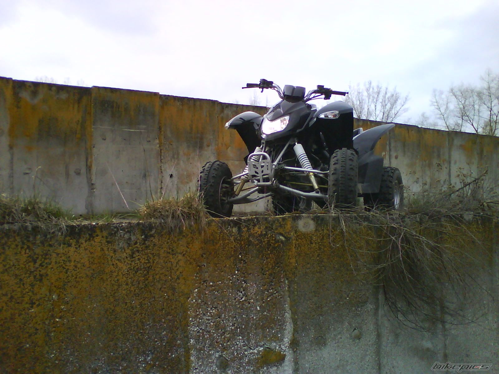Photo 1632853