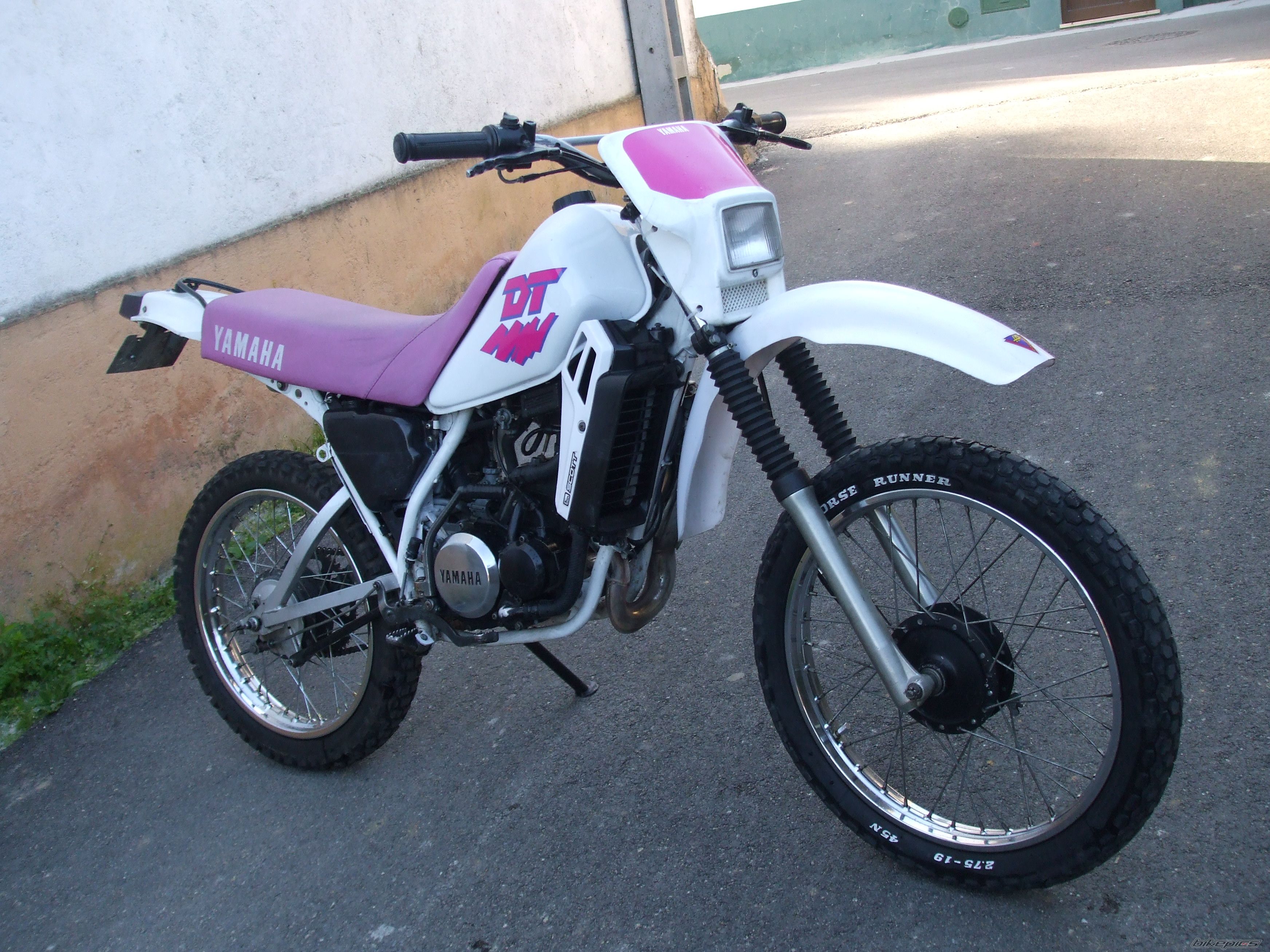 Photo 1633055