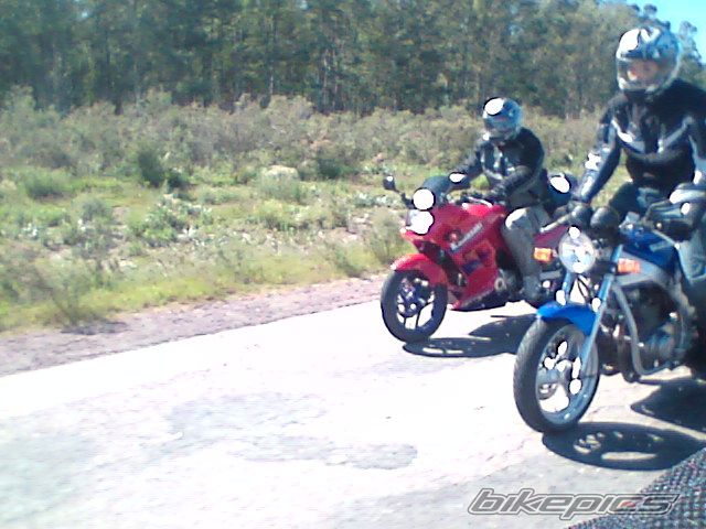 Photo 1633124