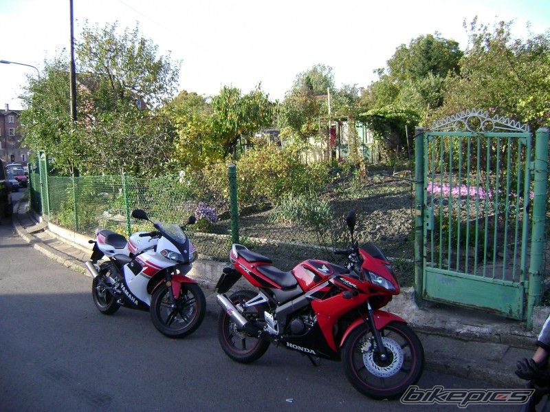 Photo 1633151
