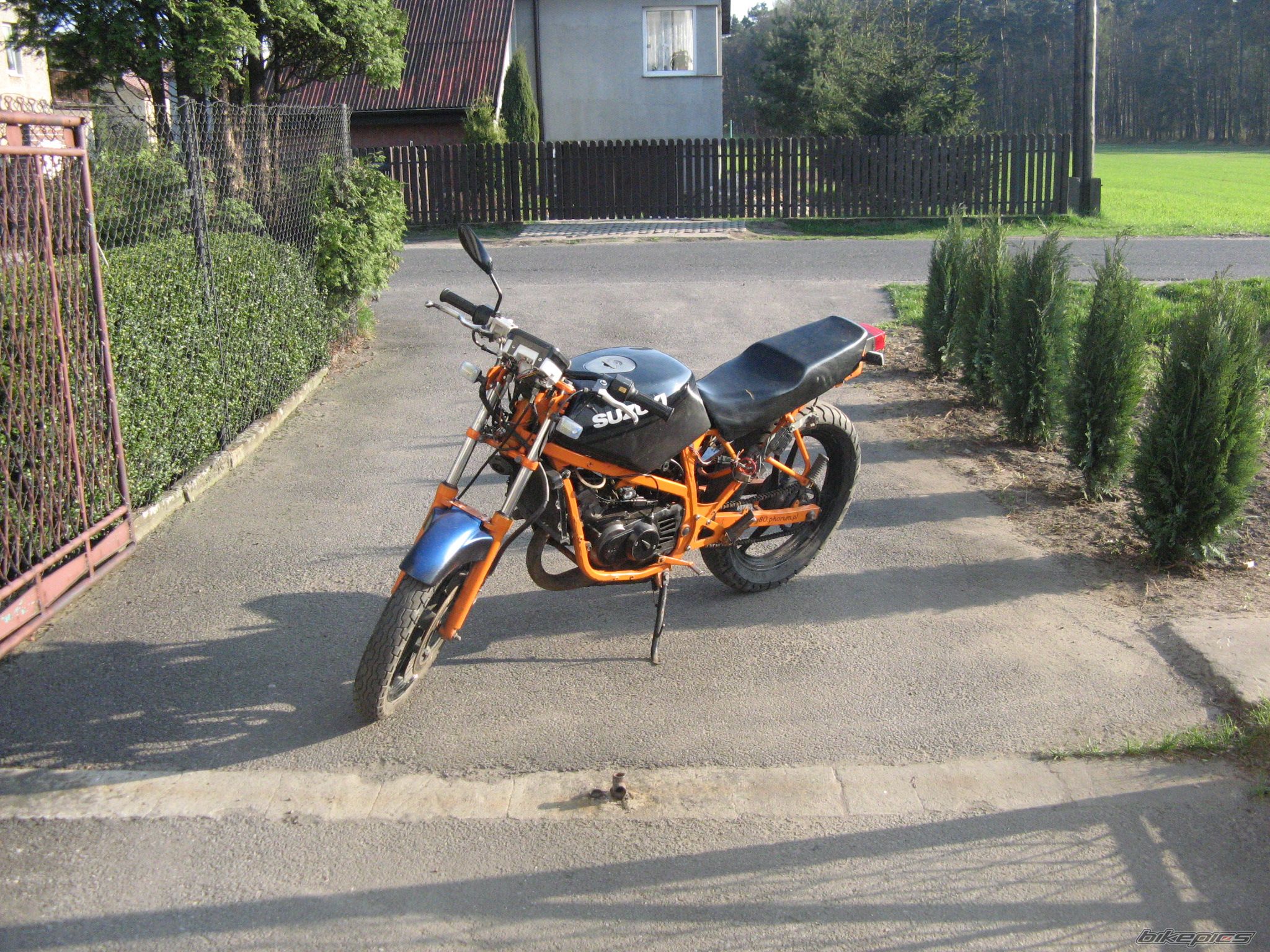 Photo 1633255