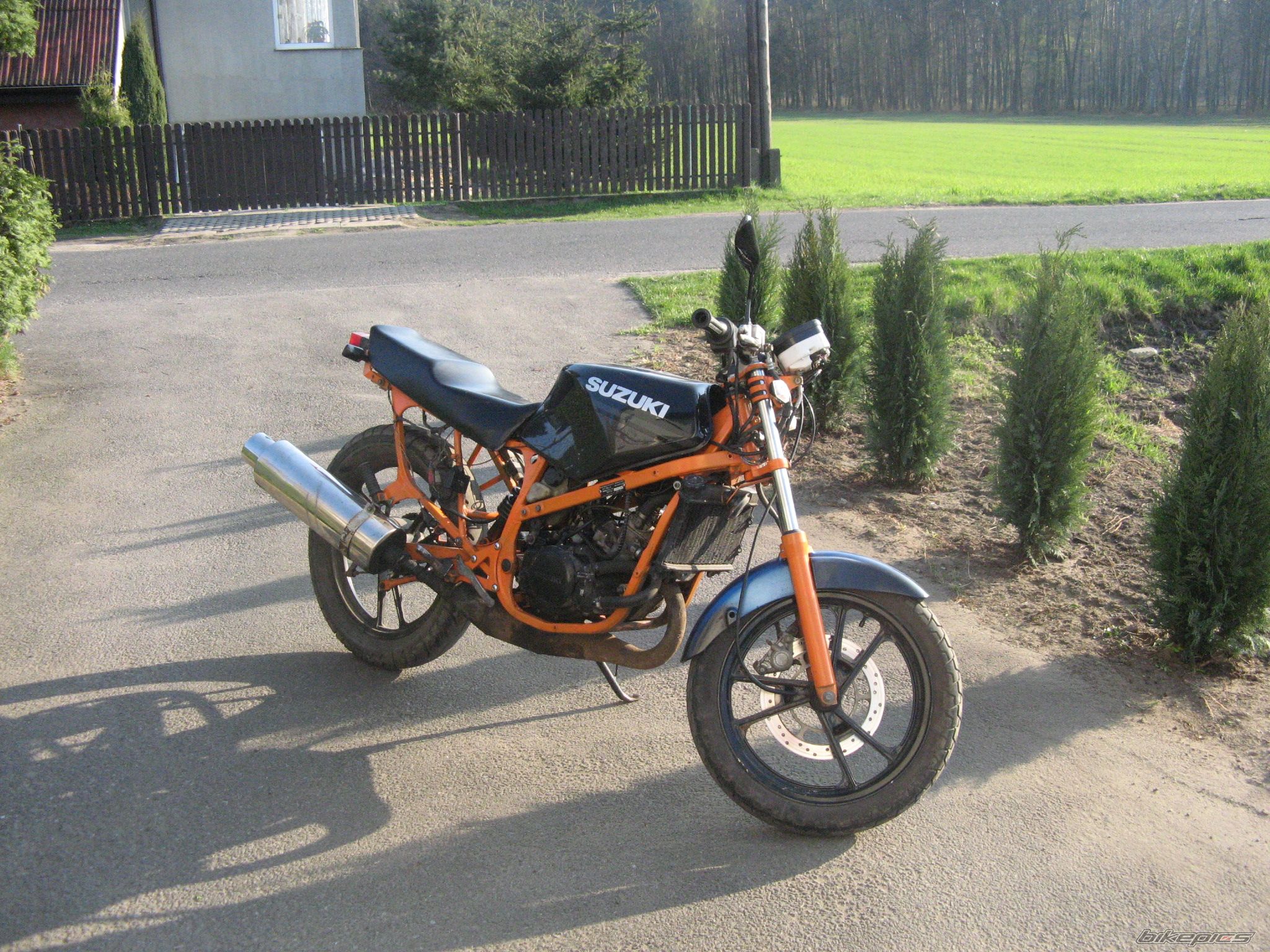 Photo 1633268