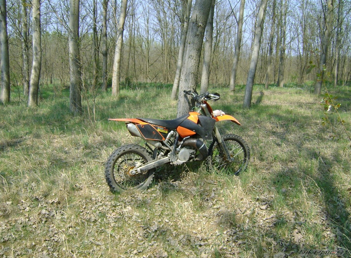 Photo 1633476