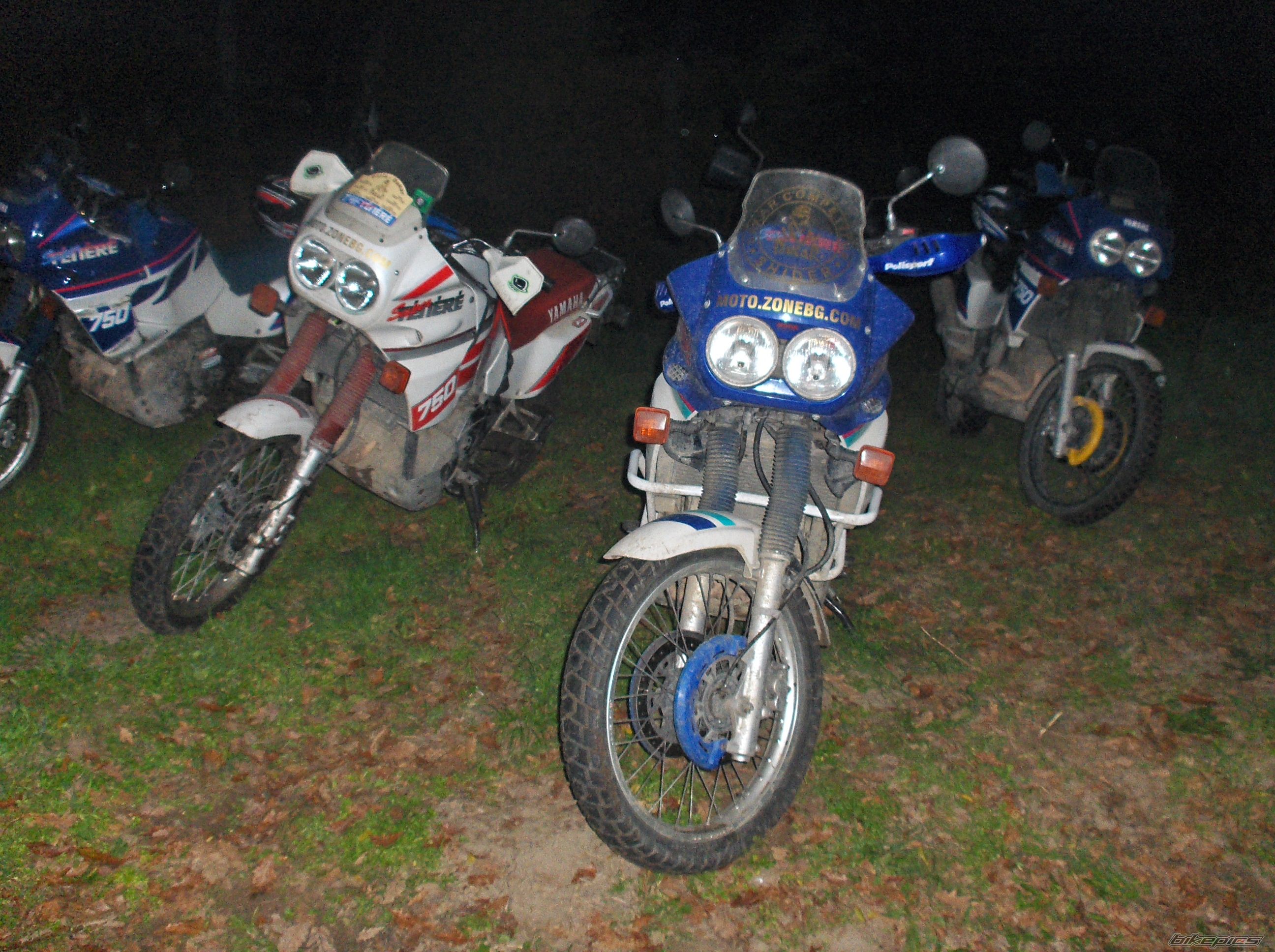 Photo 1633498