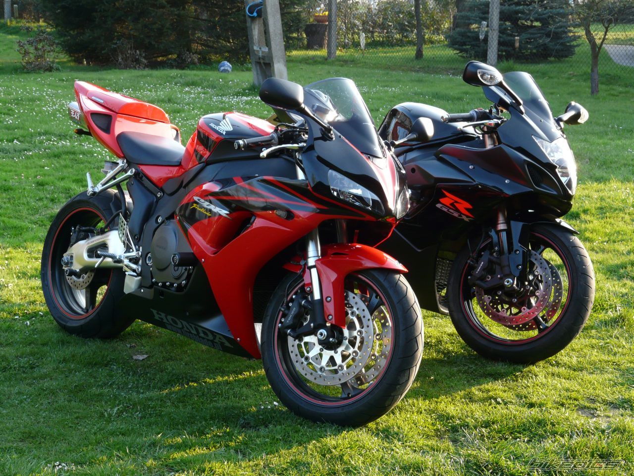 Photo 1633512