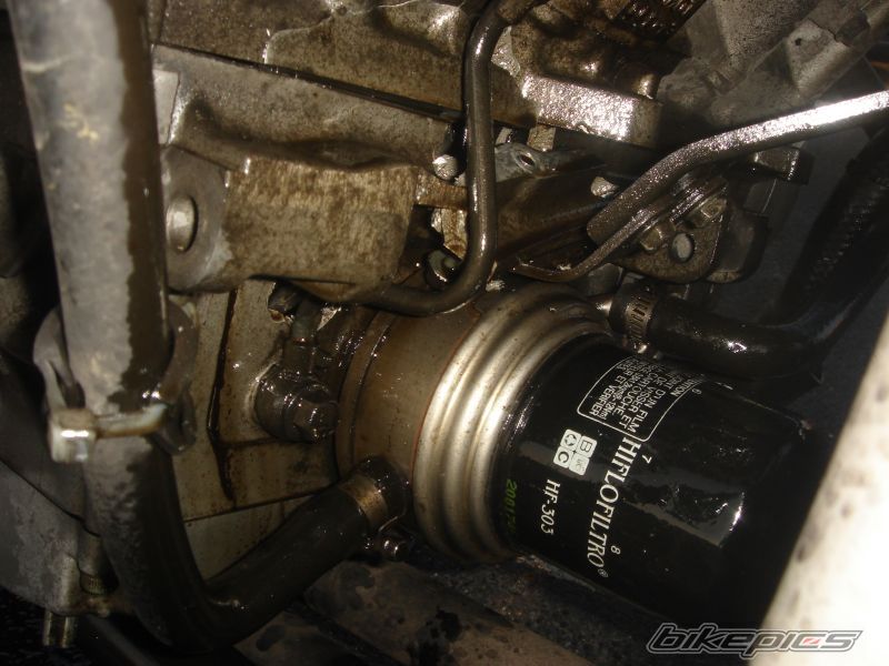 Photo 1633520