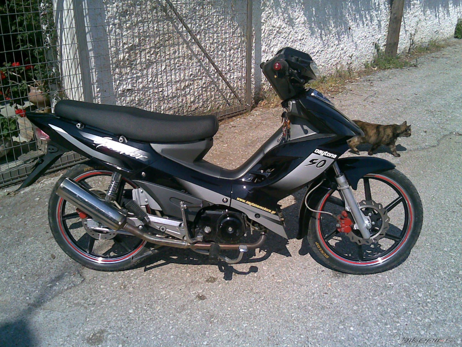 Photo 1633526