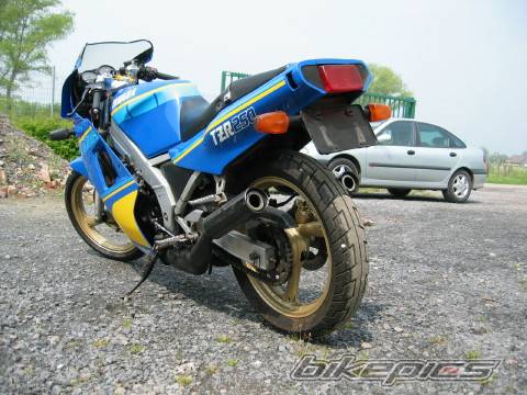 Photo 163353