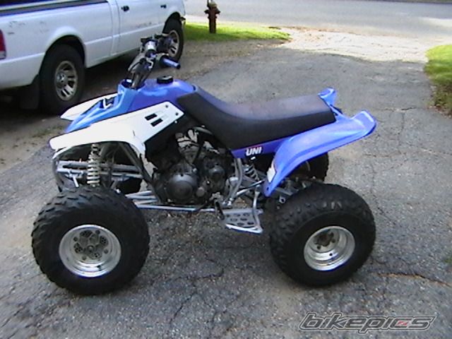 Photo 1633663