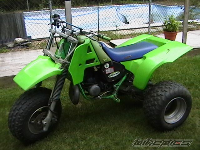 Photo 1633686