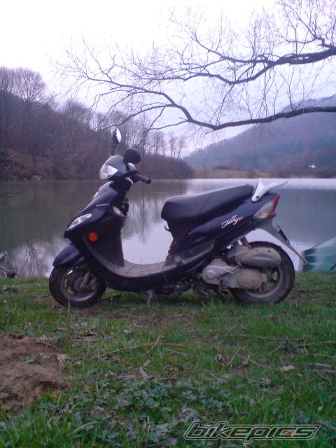 Photo 1633750