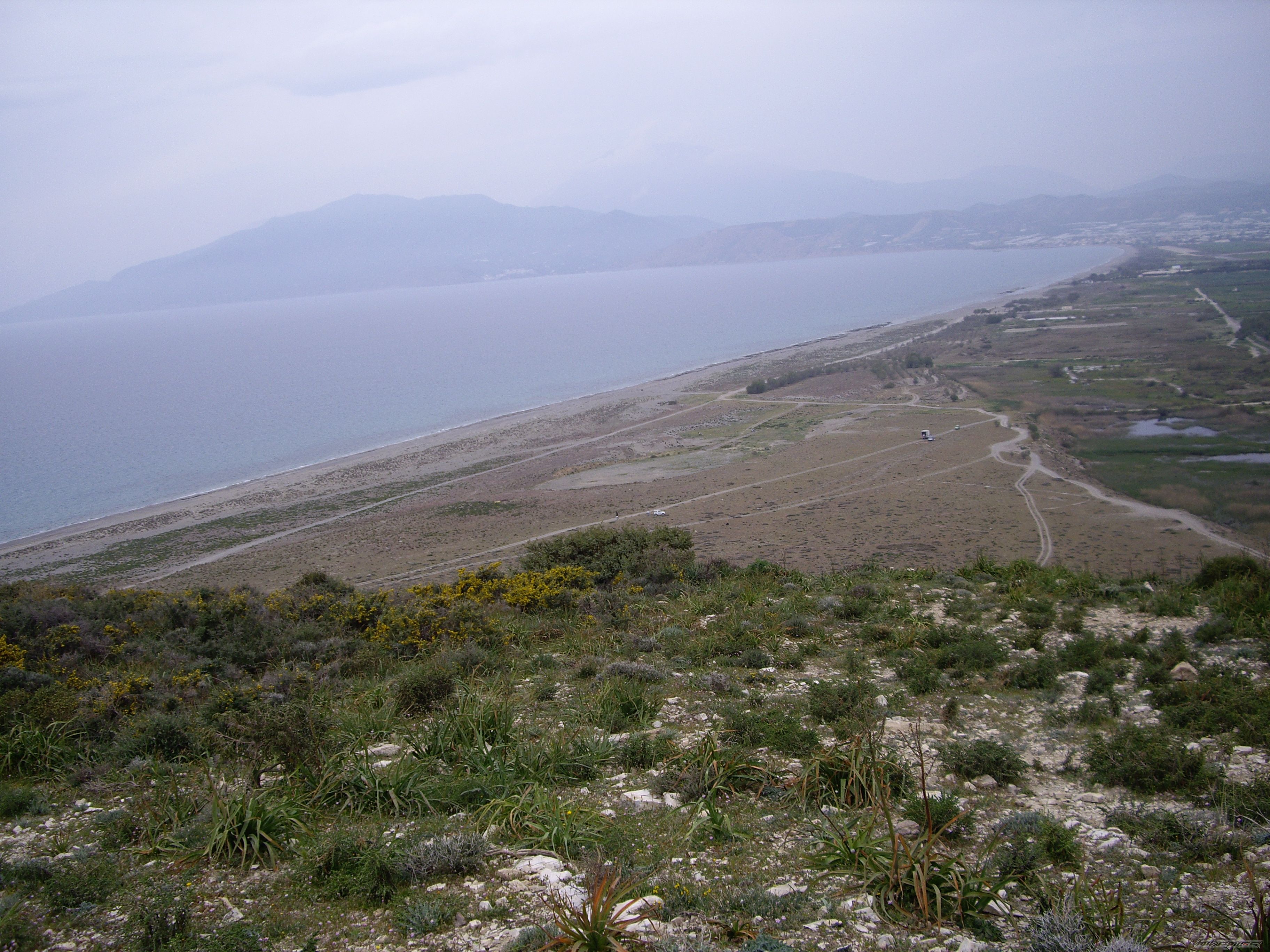 Photo 1633783
