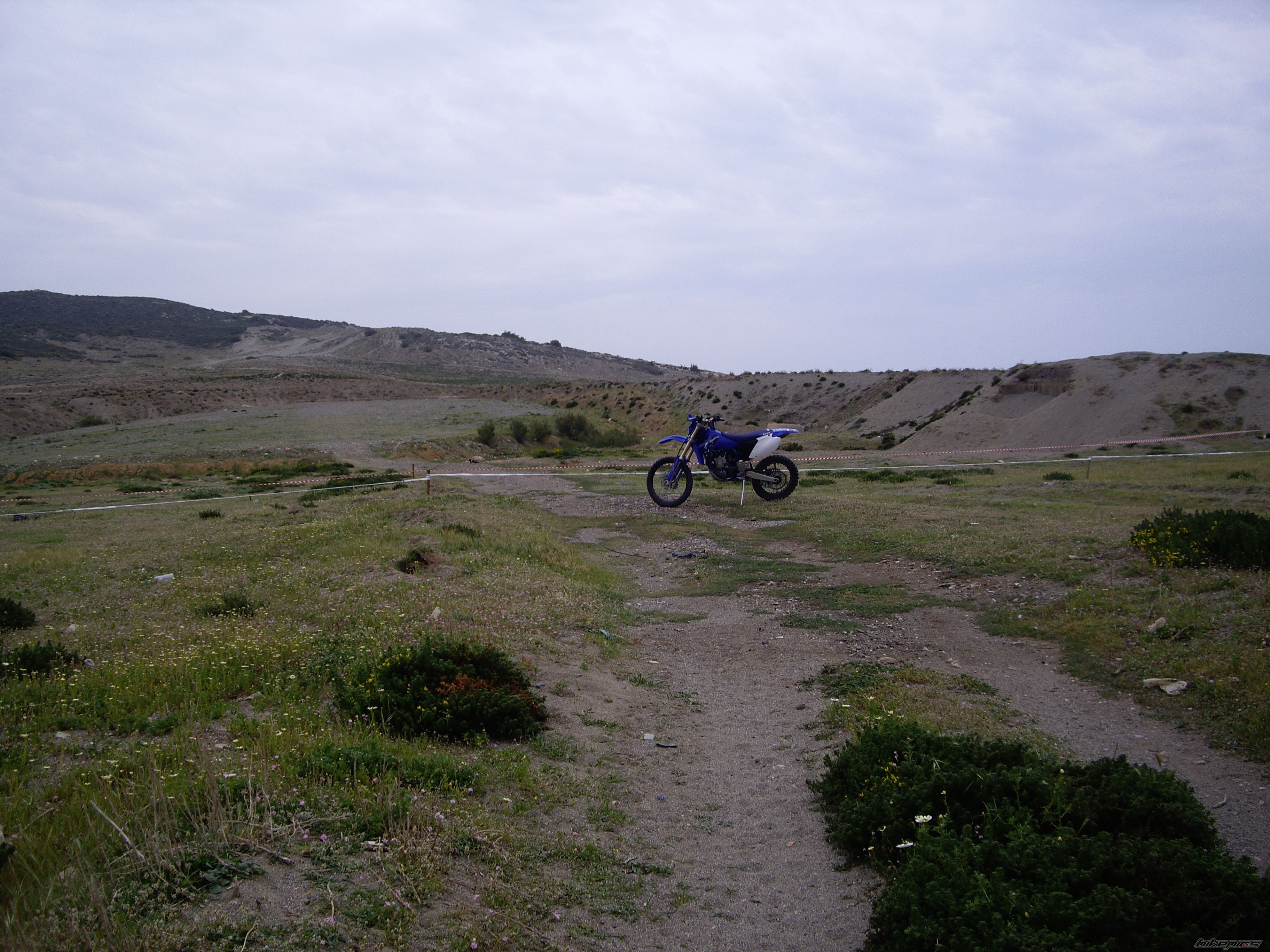 Photo 1633786