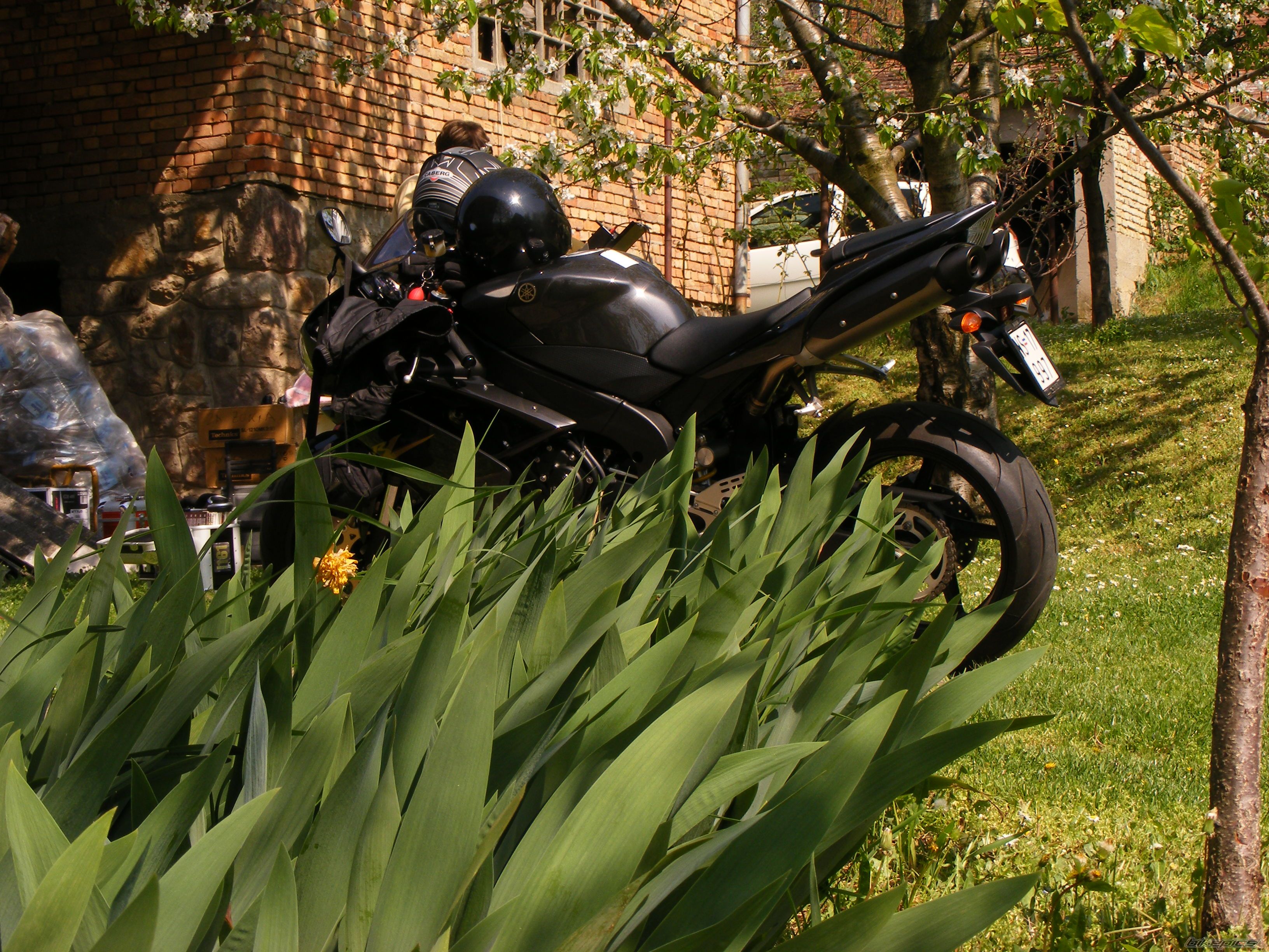 Bike Photo 1633880