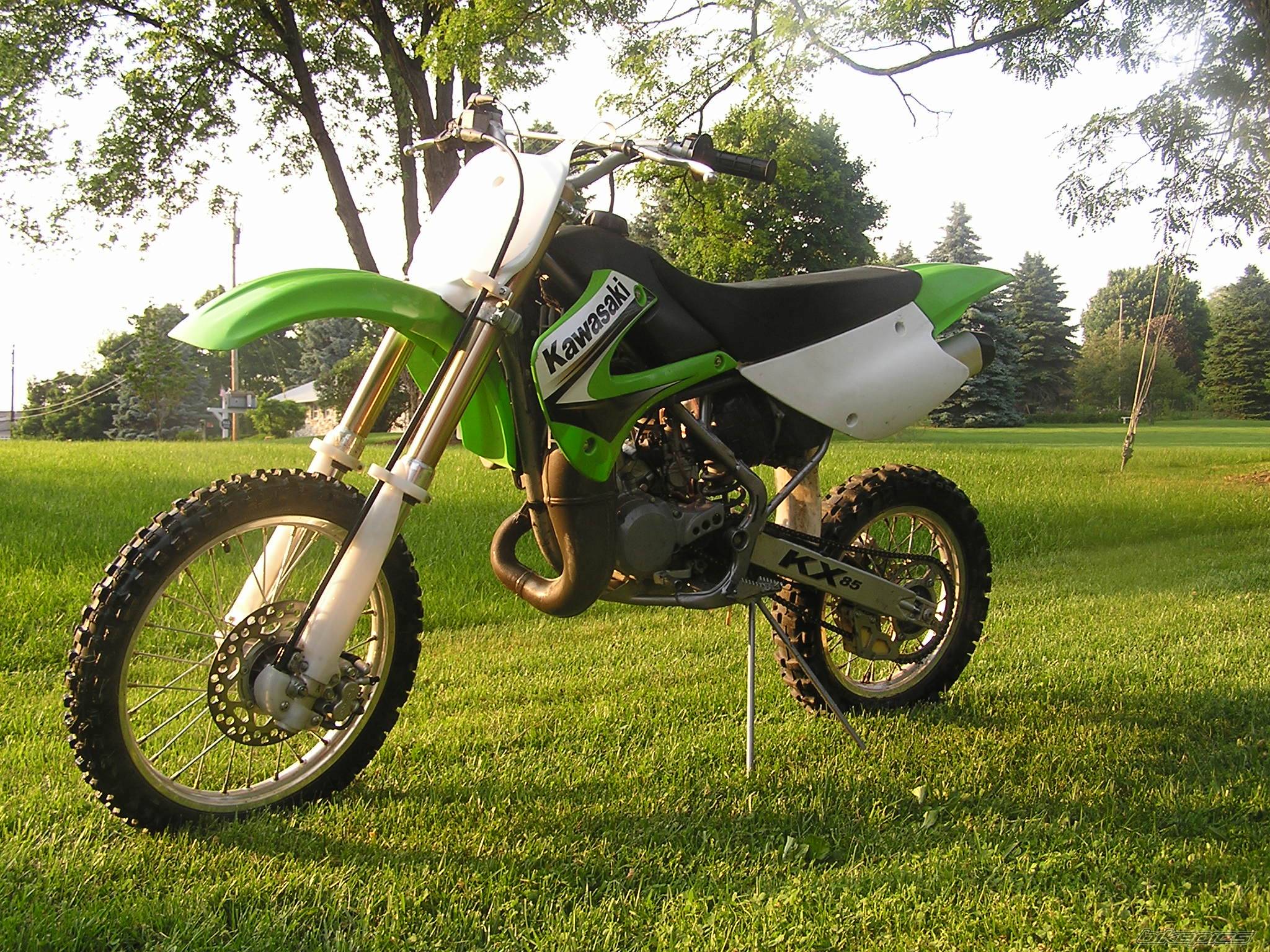 Photo 163399