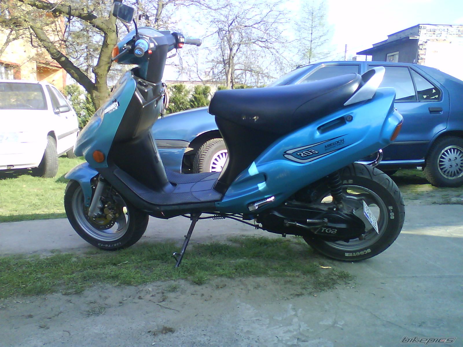 Photo 1634065