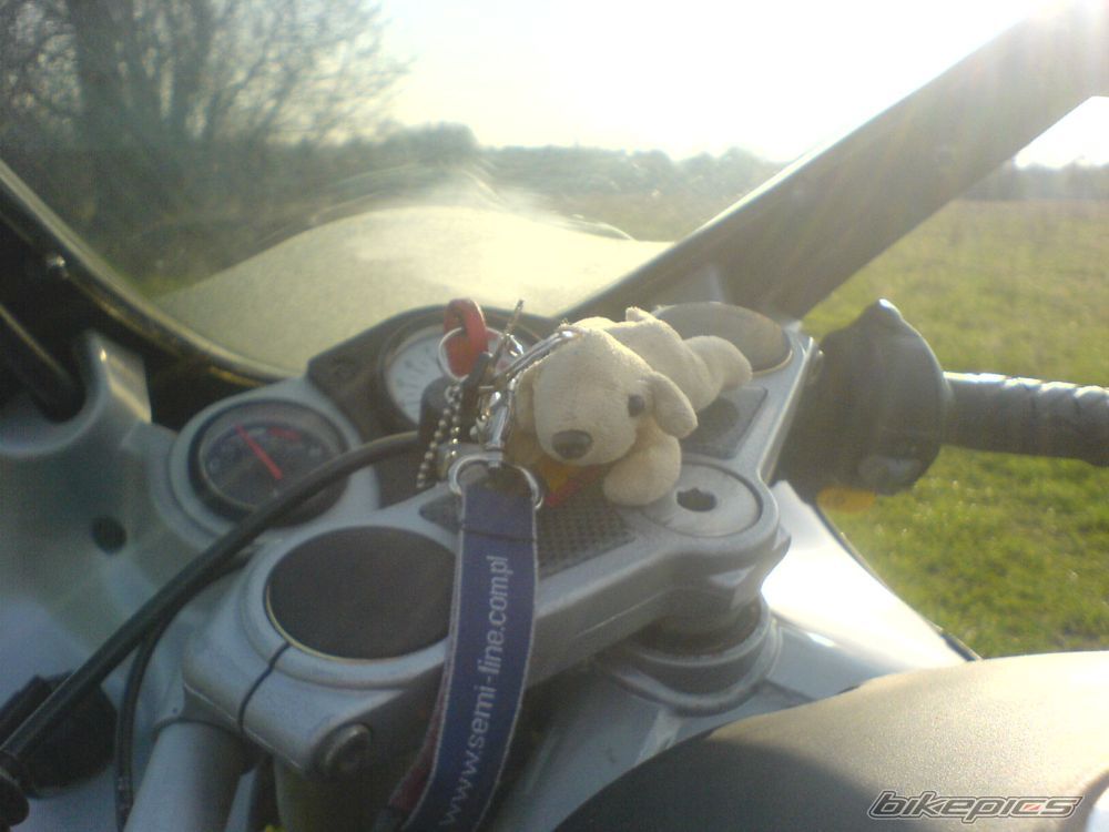 Photo 1634115