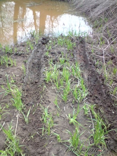 Photo 1634208