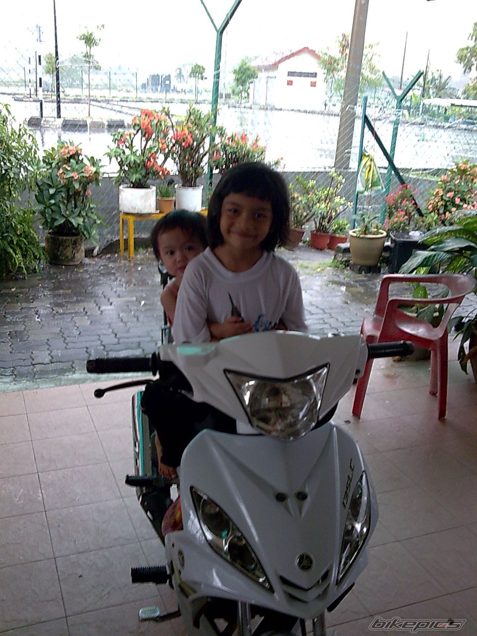 Photo 1634235