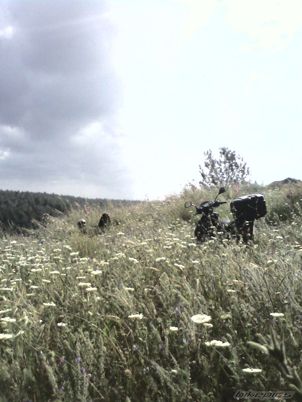 Photo 1634340