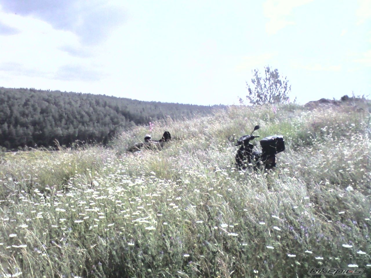 Photo 1634341