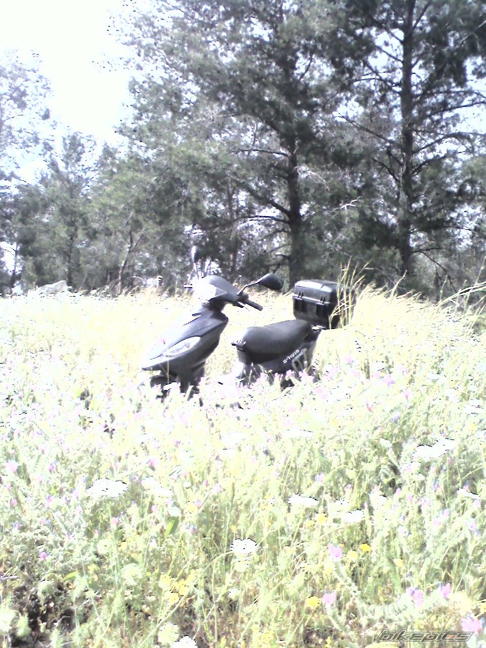 Photo 1634343