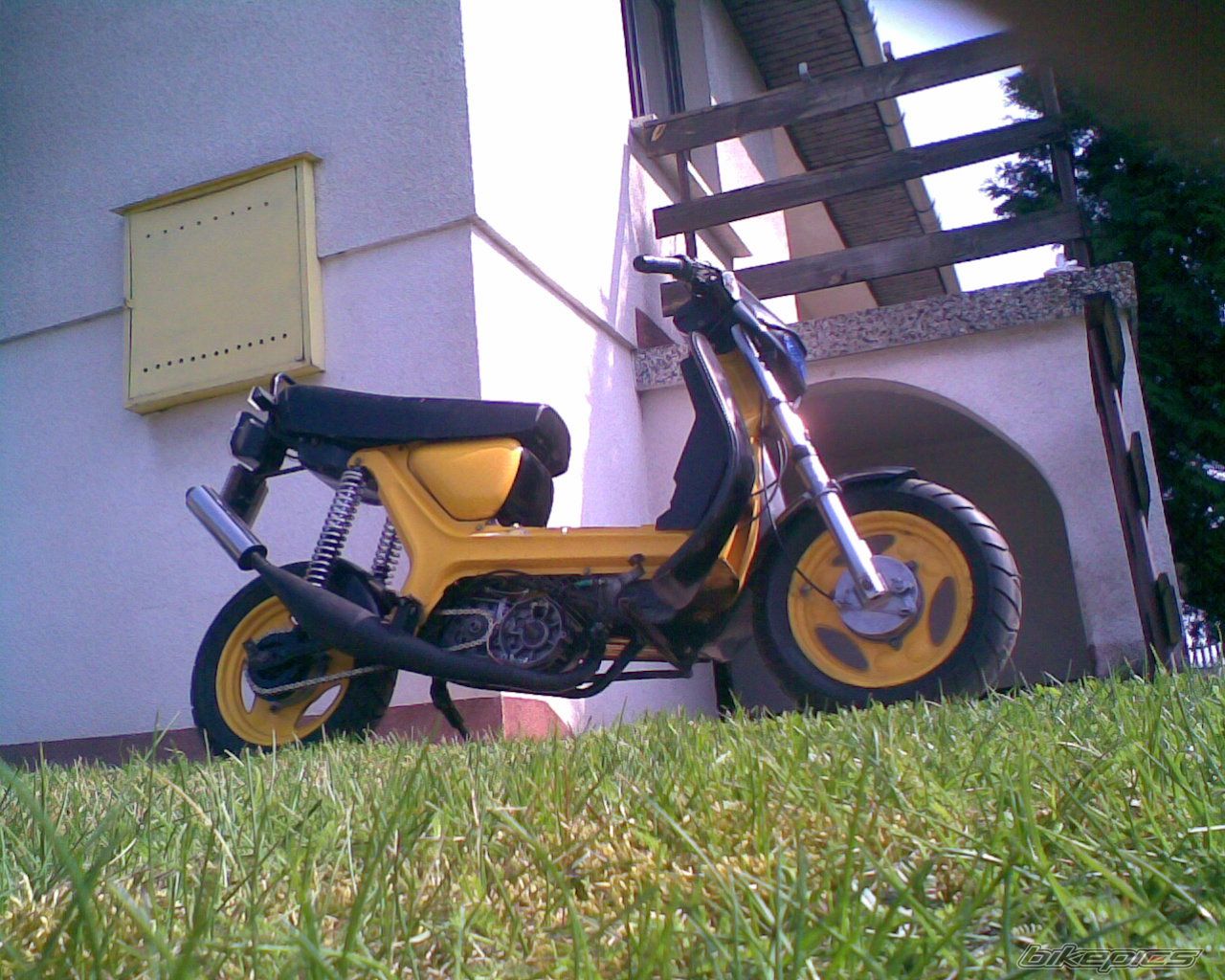Photo 1634386