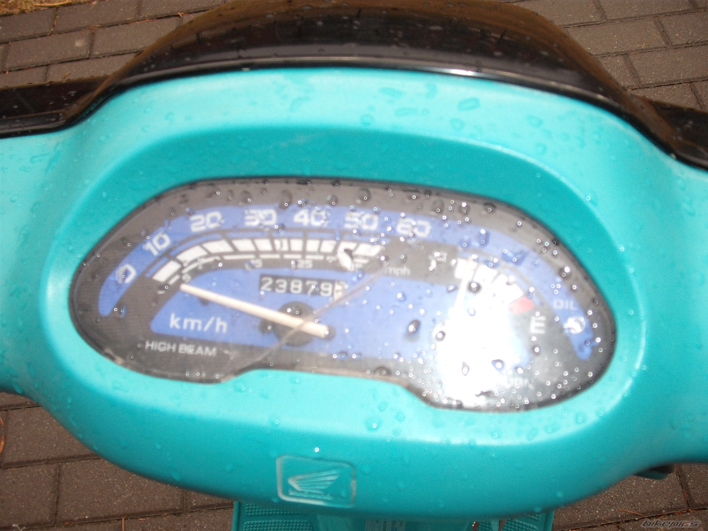 Photo 1634404