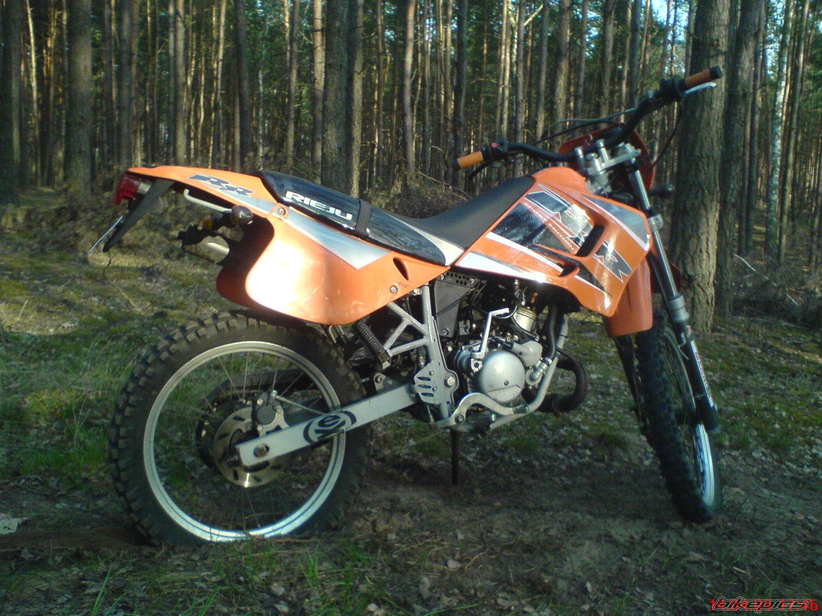 Photo 1634550