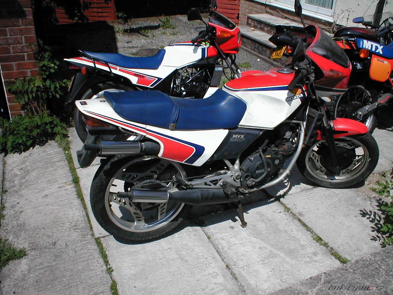 Photo 163466