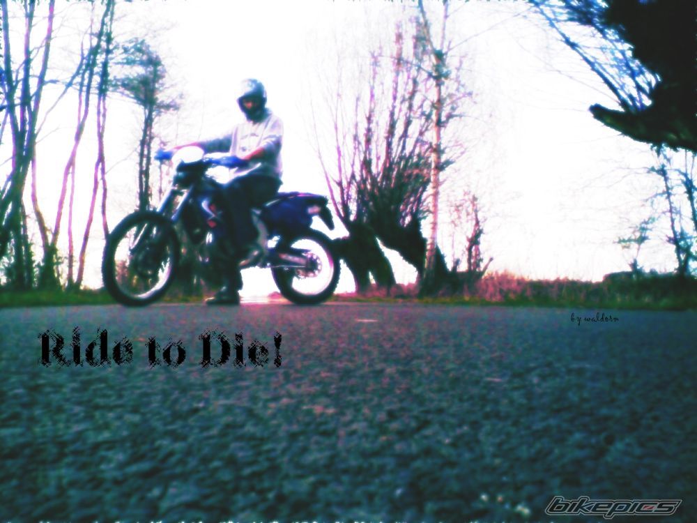 Photo 1634666
