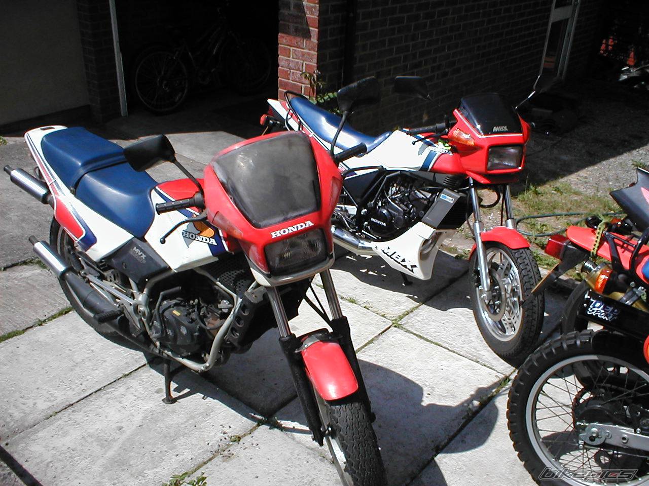 Photo 163467