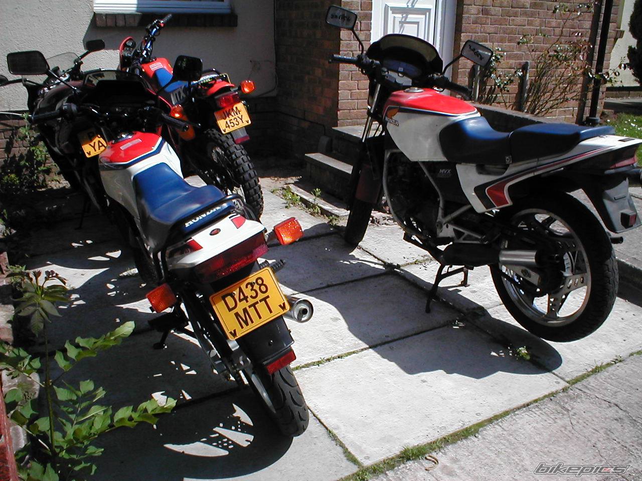 Photo 163468