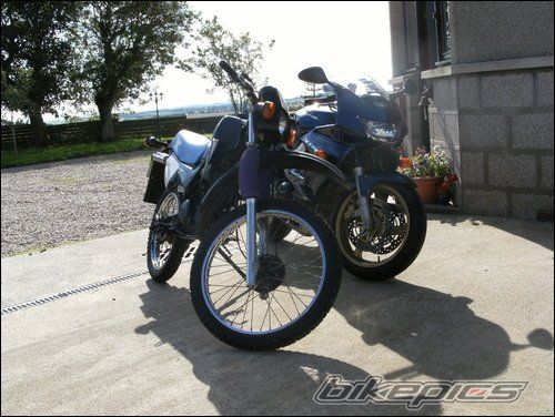 Photo 1635104