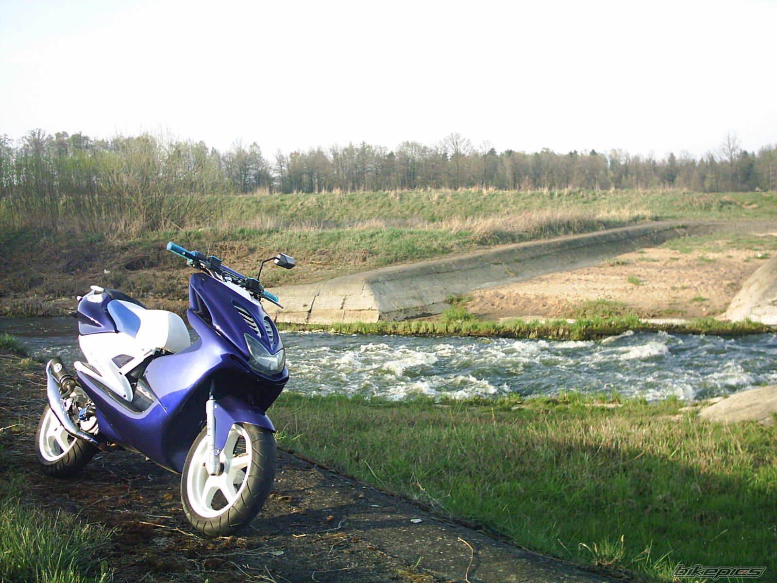 Photo 1635255