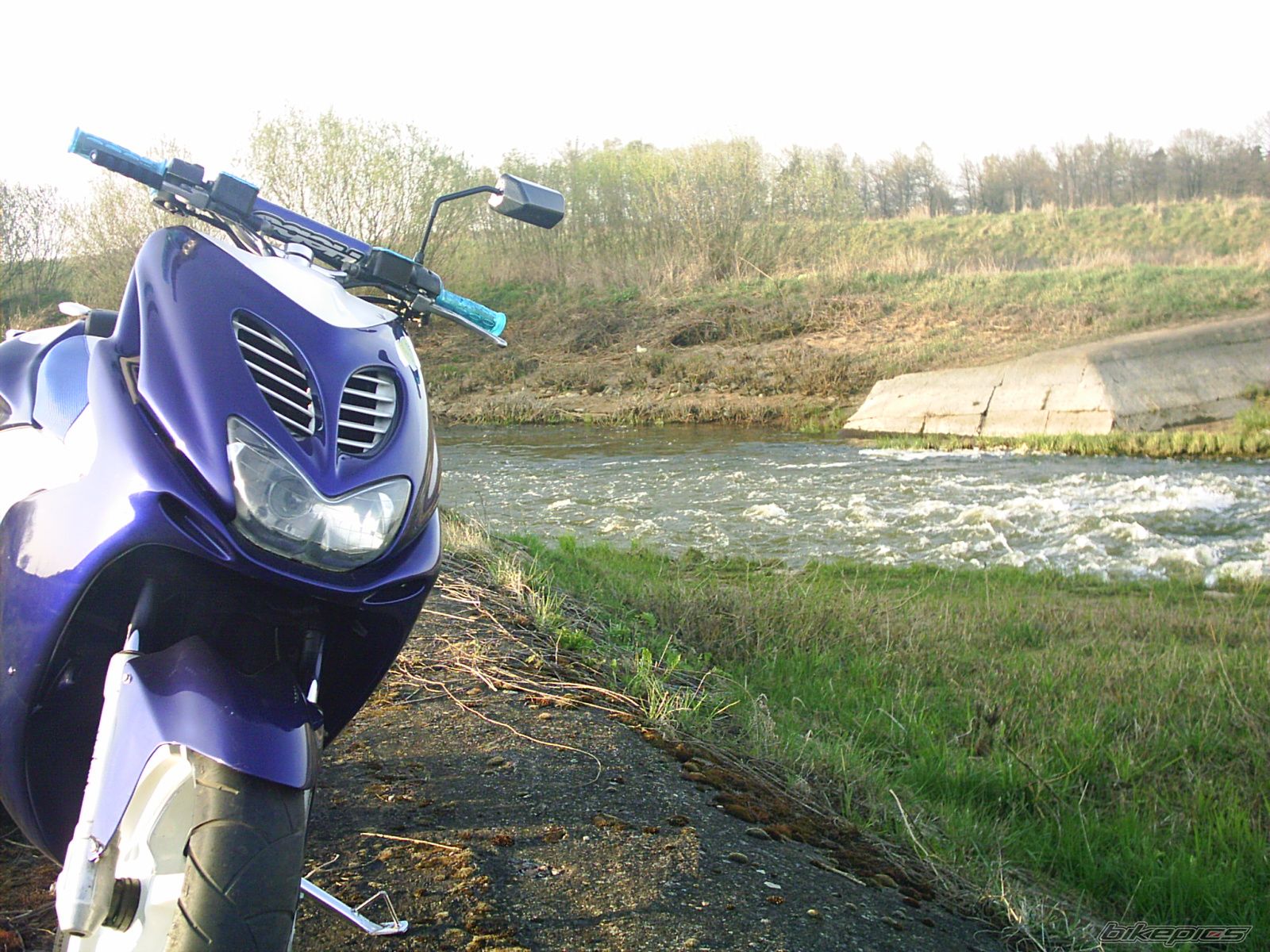 Photo 1635257