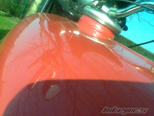Photo 1635263